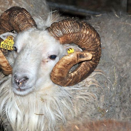 La Ferme De Flo' Villa Evry  Dış mekan fotoğraf