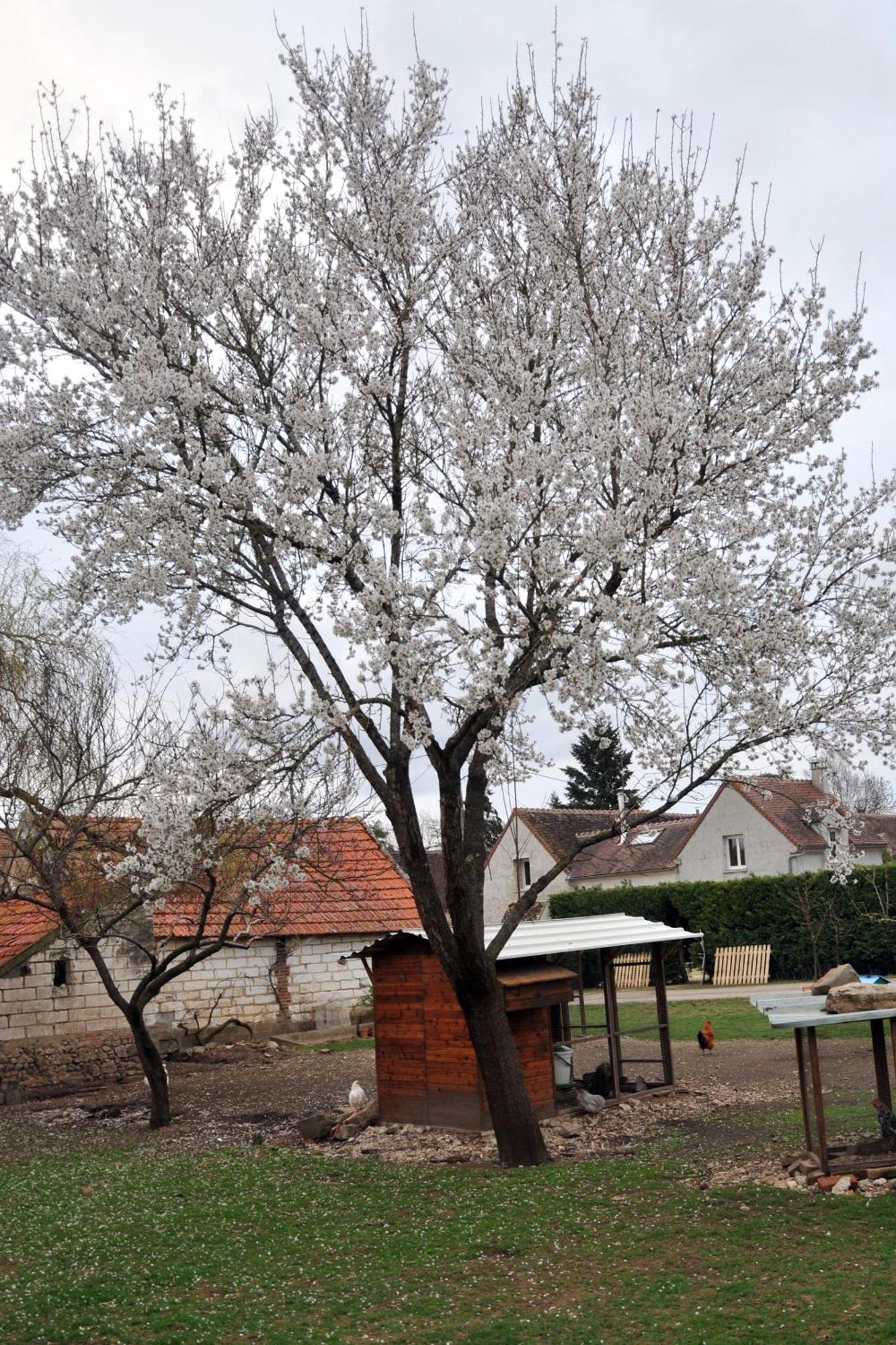 La Ferme De Flo' Villa Evry  Dış mekan fotoğraf