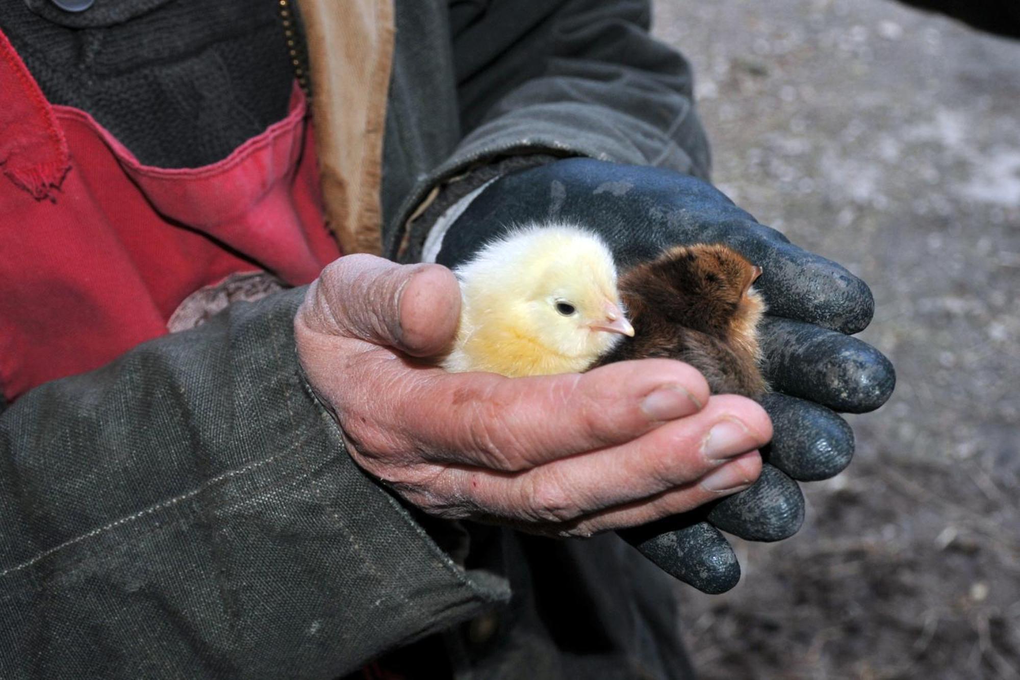 La Ferme De Flo' Villa Evry  Dış mekan fotoğraf