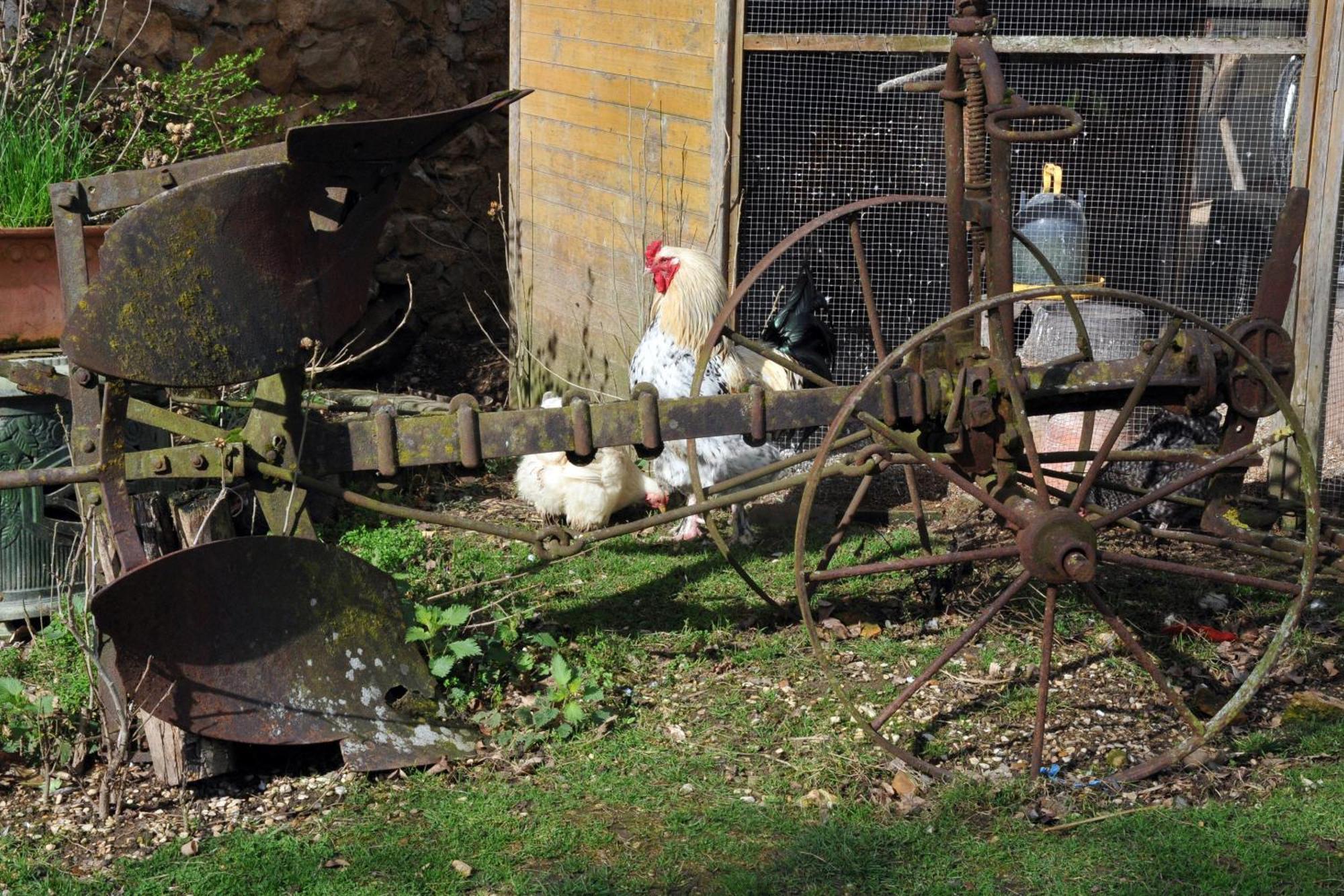 La Ferme De Flo' Villa Evry  Dış mekan fotoğraf